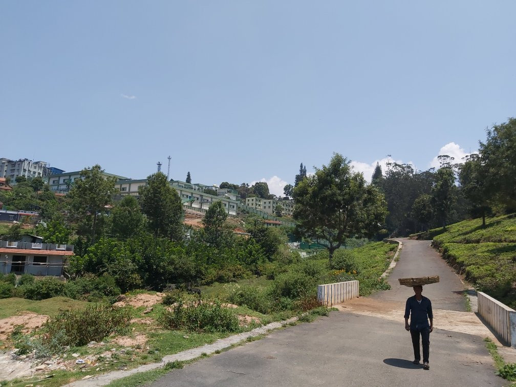 Brooklands Tea Factory & Factory Outlet景点图片