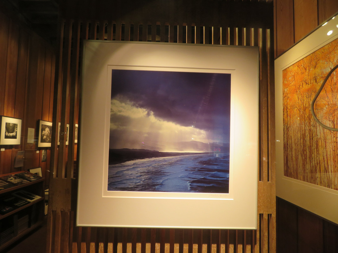 Photography West Gallery-卡梅尔必去景点