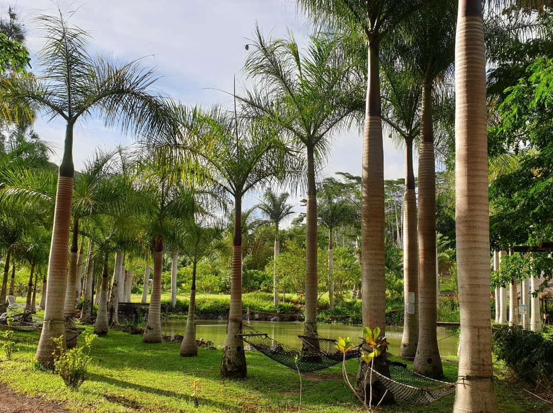 CHAZAL ecotourisme-Chamouny必去景点