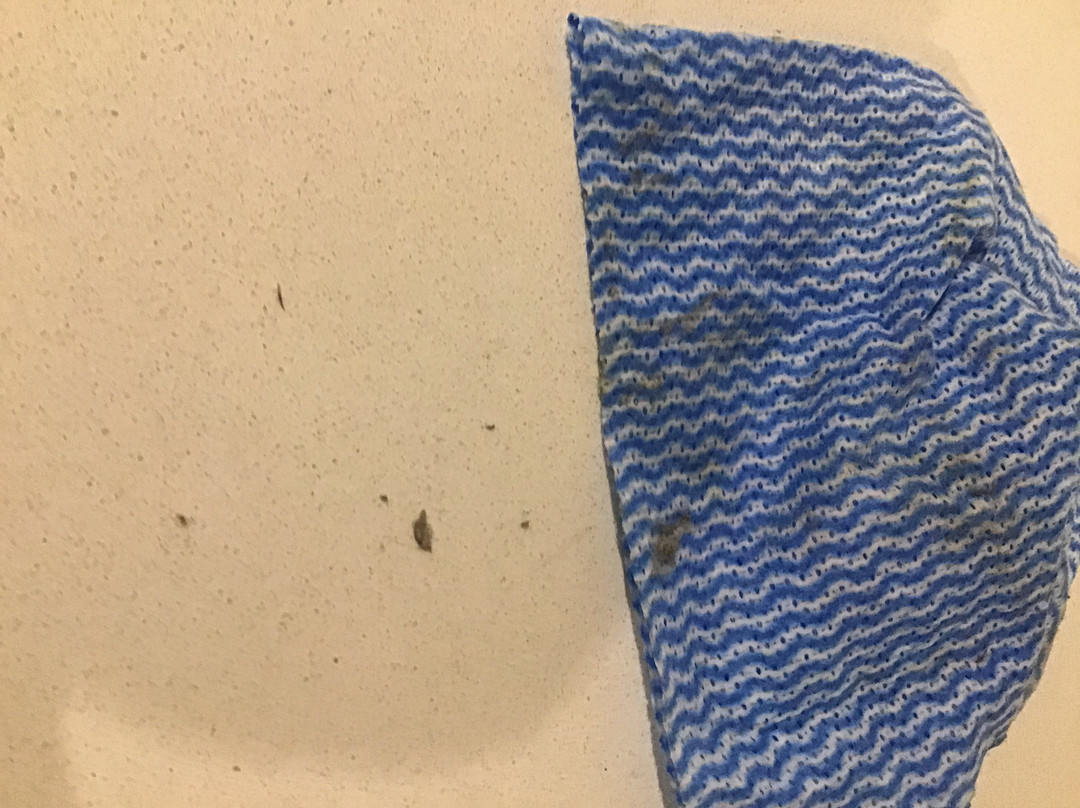 Abode Narrabundah主图