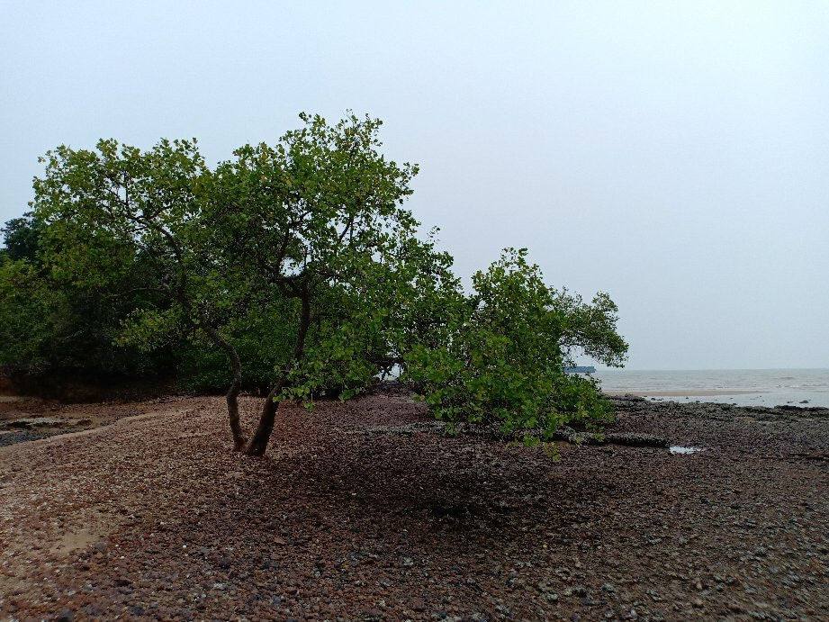 Pulau Konet-Kuala Sungai Baru必去景点