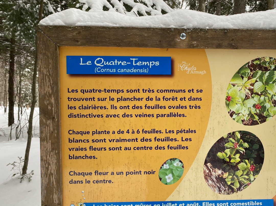 Dorwin Falls Park-Rawdon必去景点