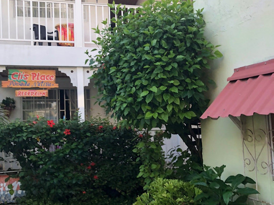 Posada Nativa CLI'S Place主图