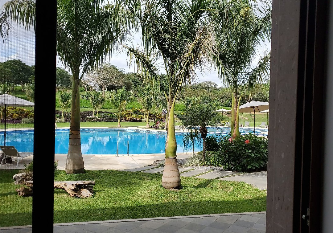 Colonia Nuevo Morelos旅游攻略图片