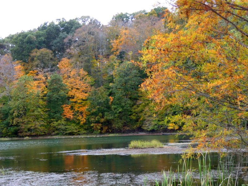Yellowwood State Forest-纳什维尔必去景点
