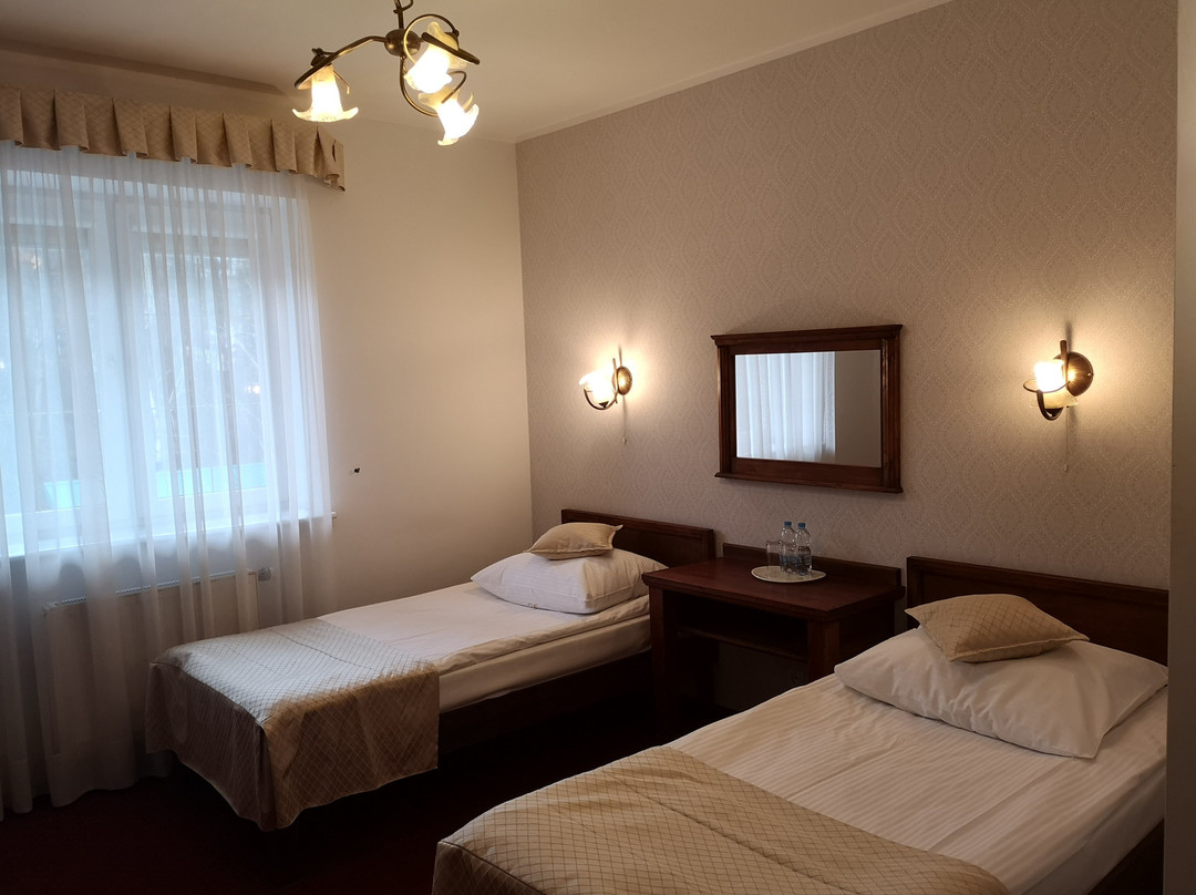 Dwor Czarneckiego Wellness & SPA主图