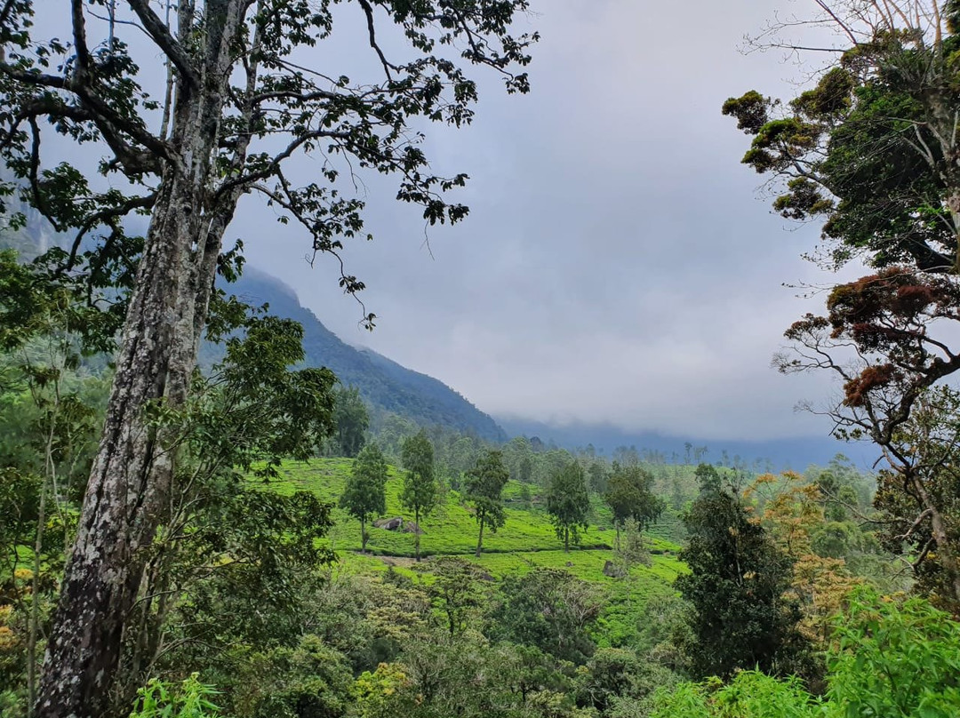 Mandaram Eco Resort主图