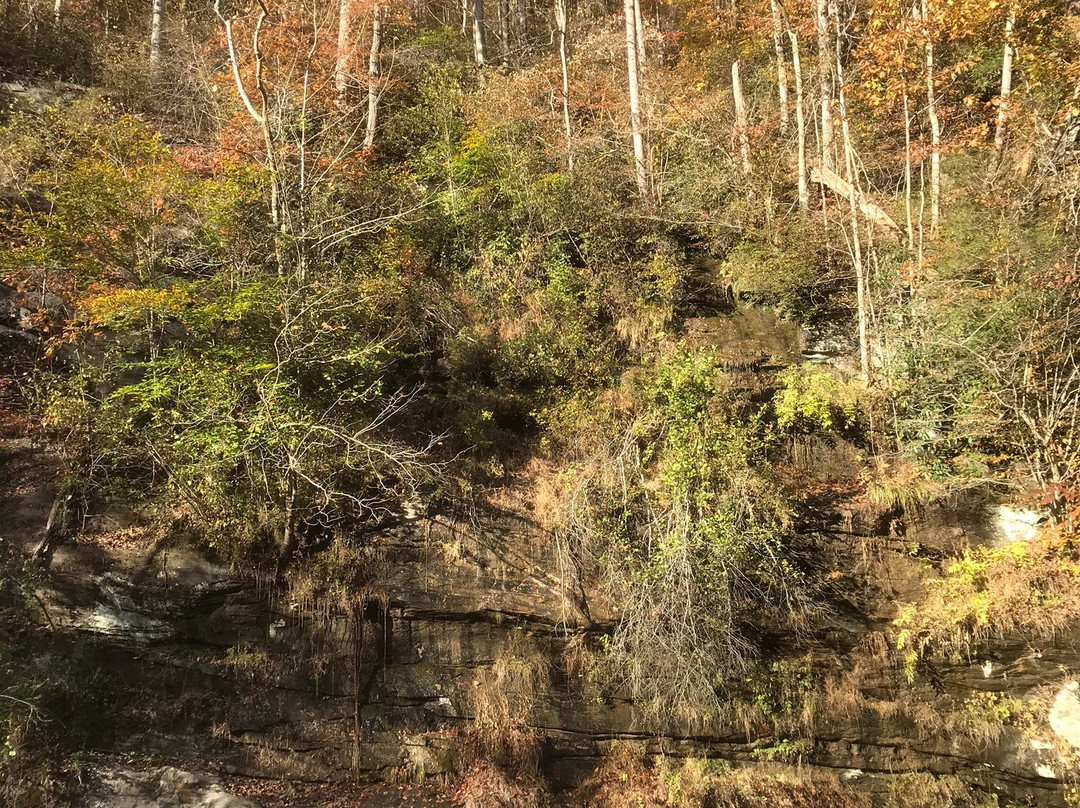 Melrose Falls-Saluda必去景点