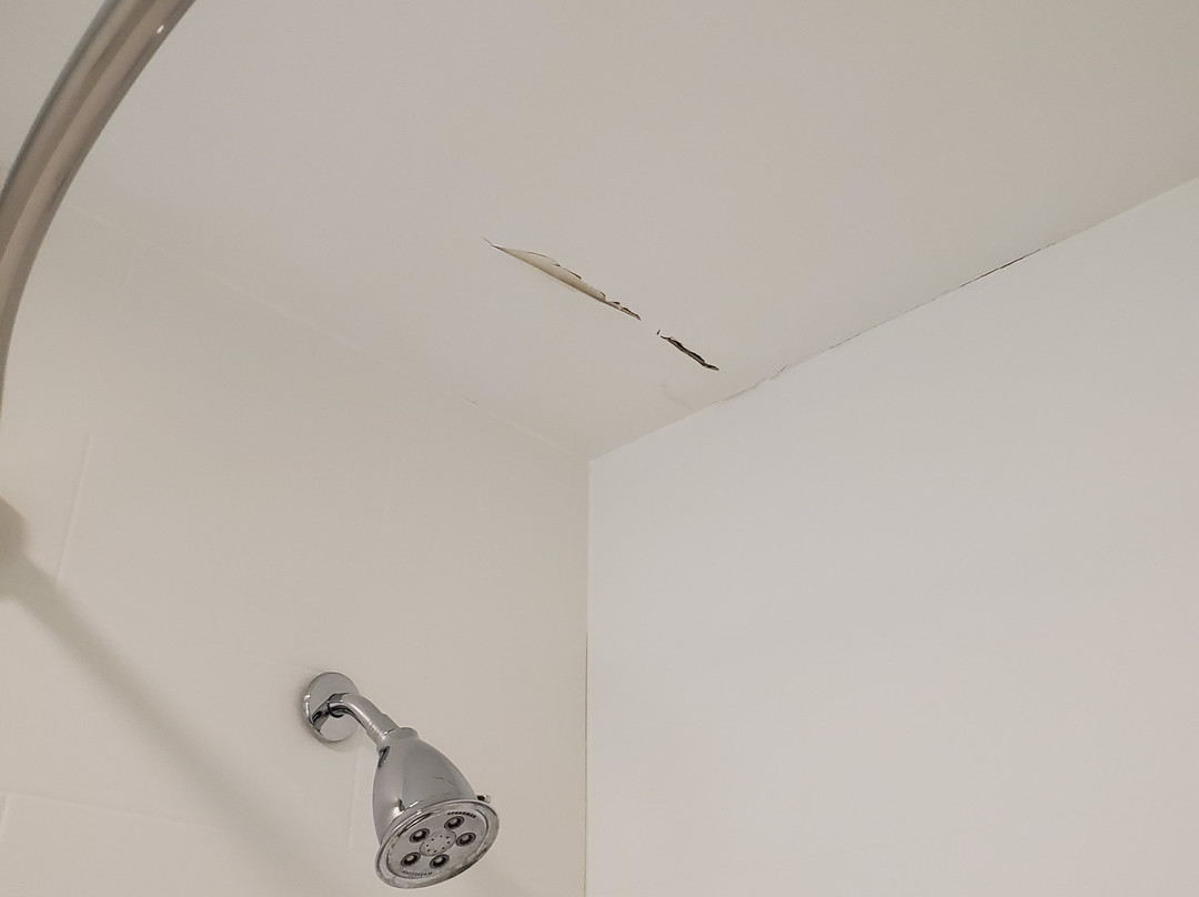 Wingate by Wyndham Goodlettsville主图