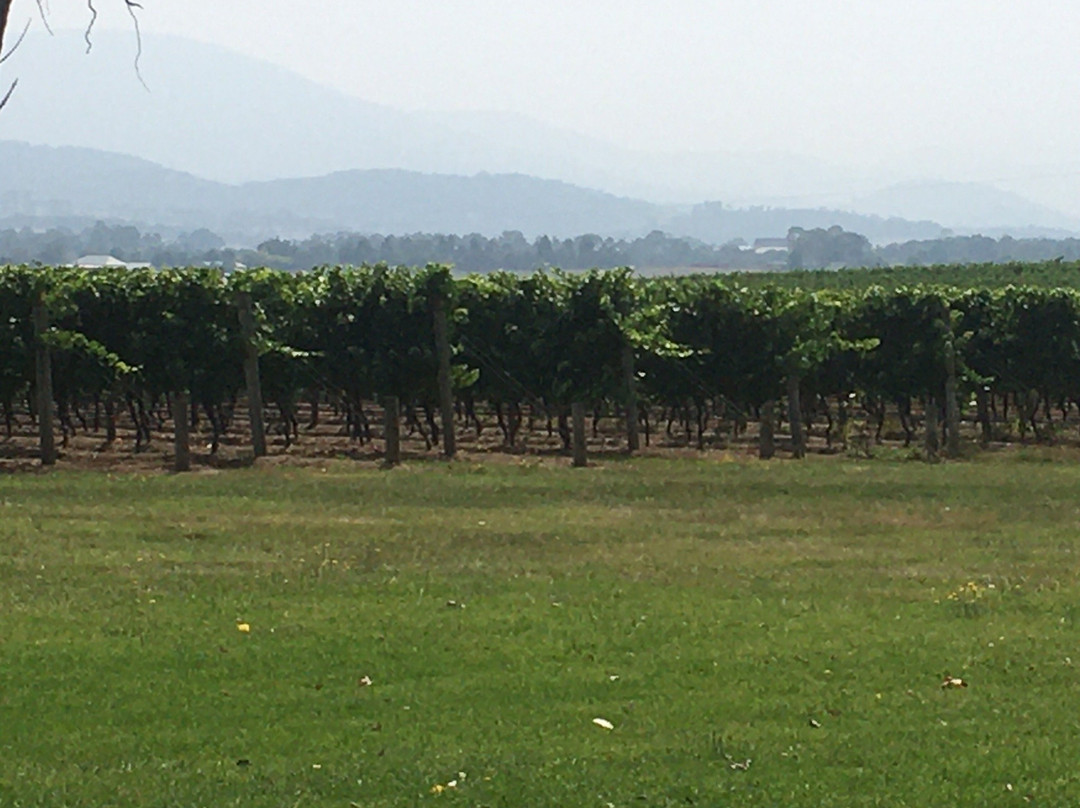 Coldstream Hills Cellar Door-Gruyere必去景点