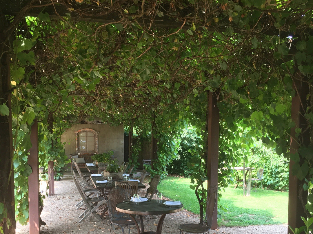 Coldstream Hills Cellar Door-Gruyere必去景点