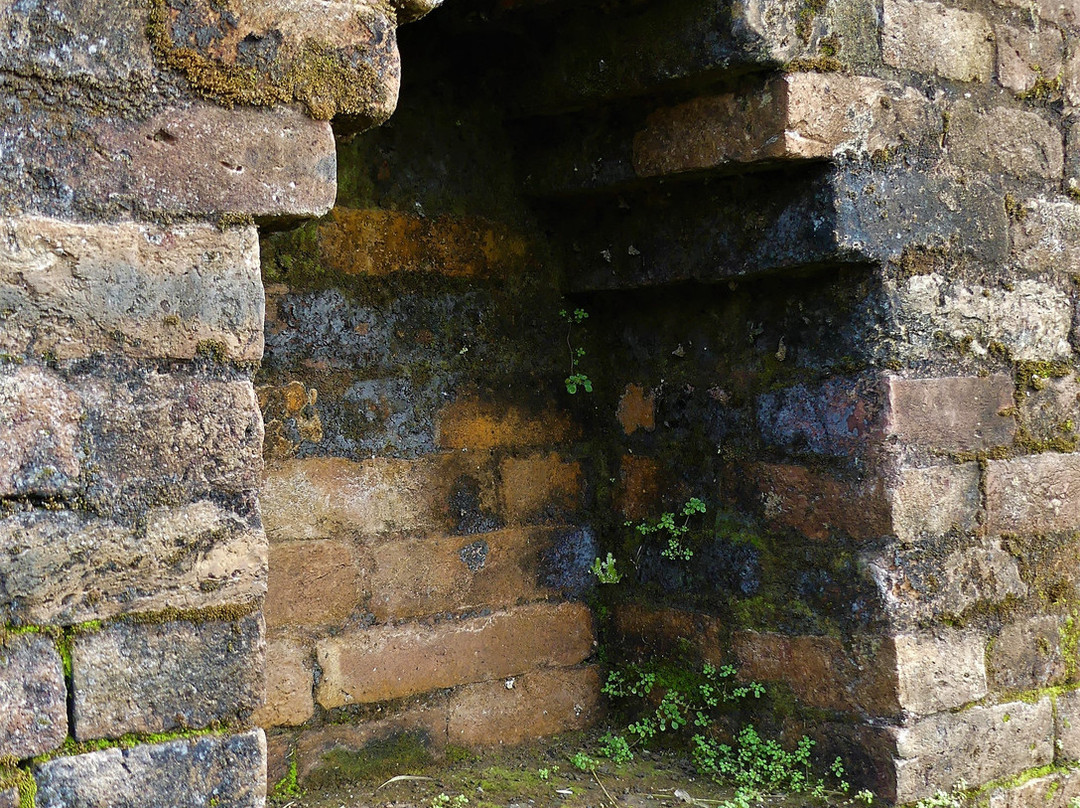 Mainimati Ruins-Comilla必去景点