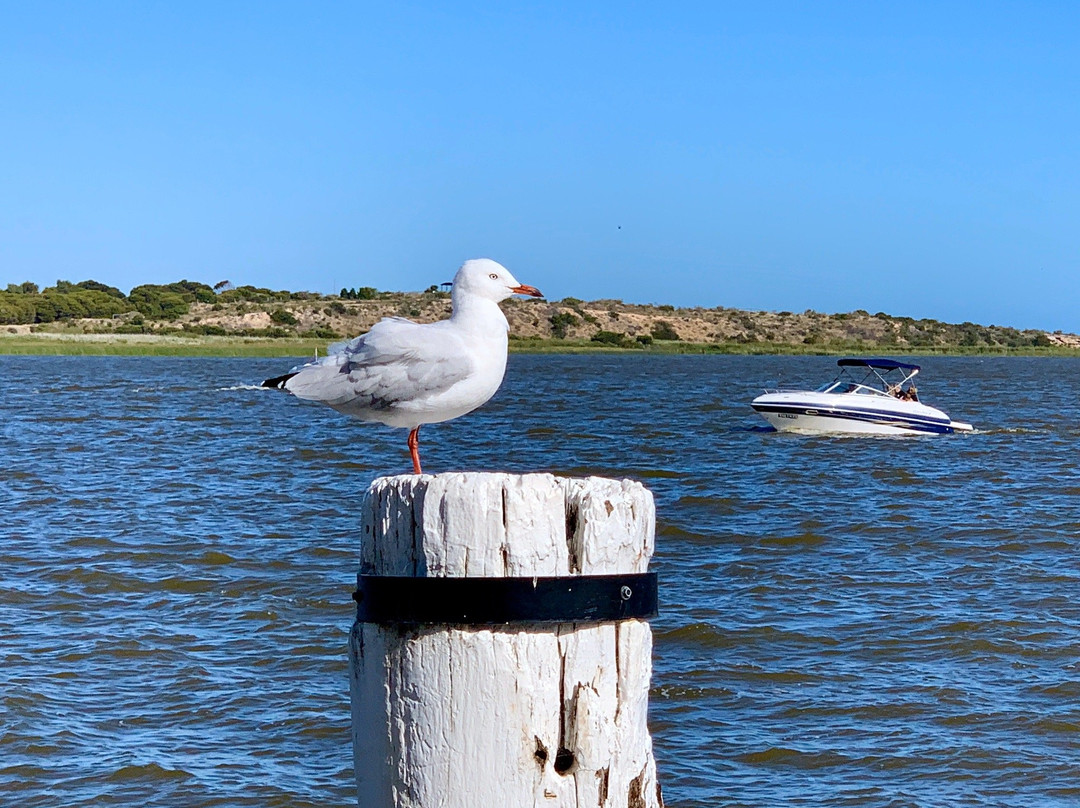 Wharf Barrel Shed-Goolwa必去景点