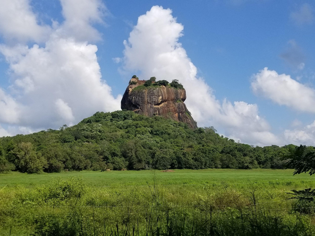 Sri Lanka Jeep Safari景点图片
