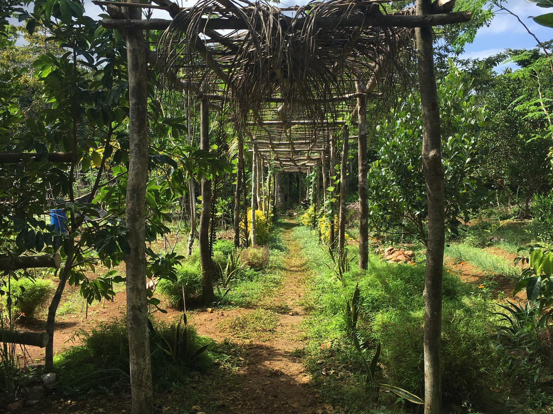 Bayatakan Farm Experience景点图片