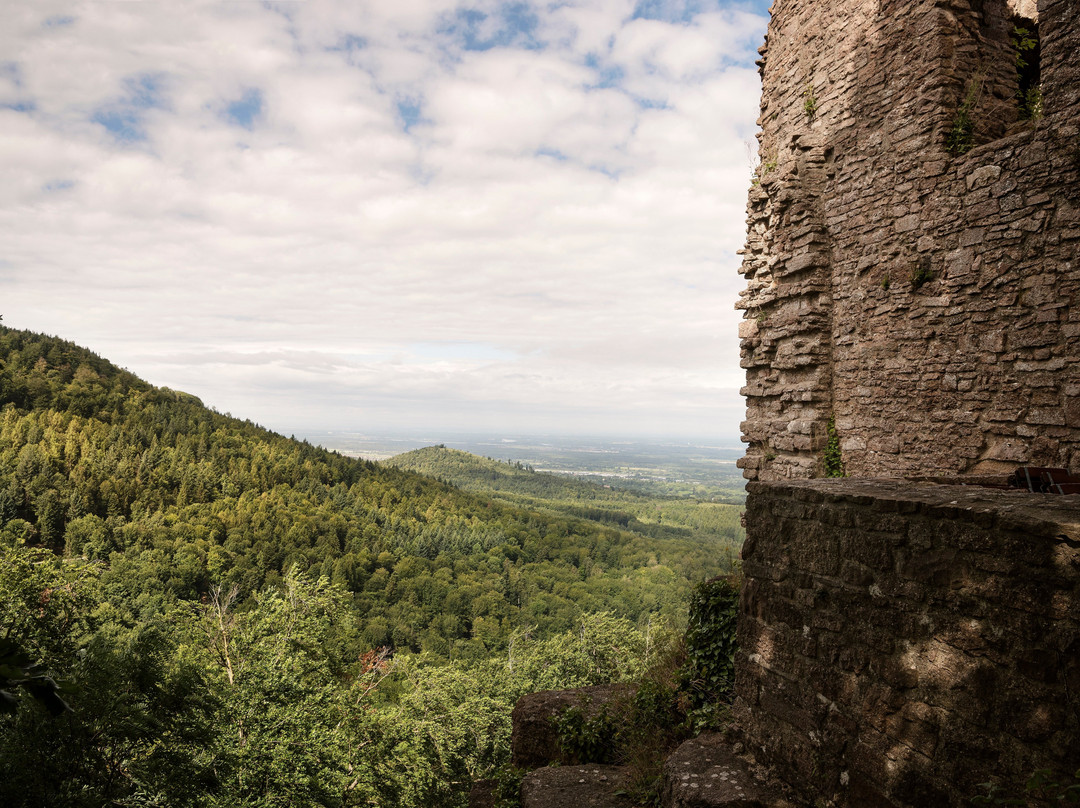 Alt Eberstein Castle-巴登巴登必去景点