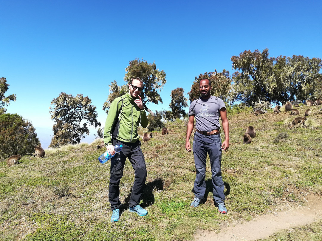 North Ethiopian Tour Operator-贡德尔必去景点