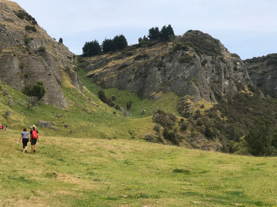 Shine Falls-纳皮尔必去景点