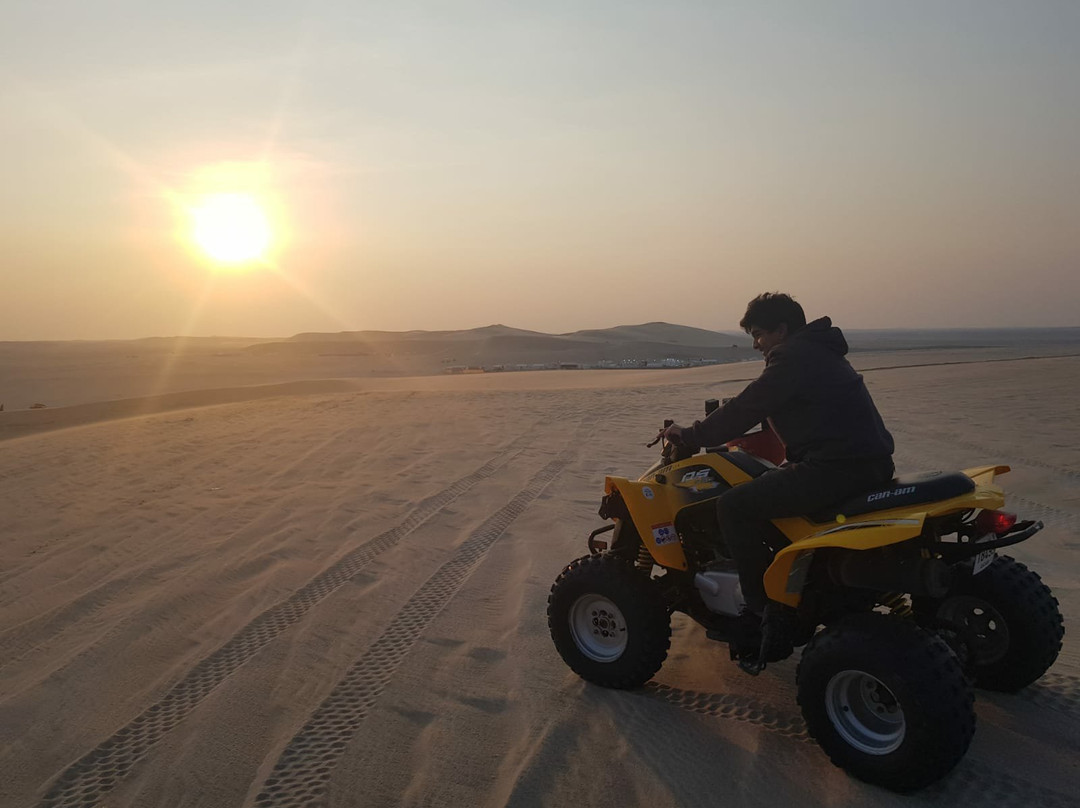 Sand Line Dunes Qatar景点图片