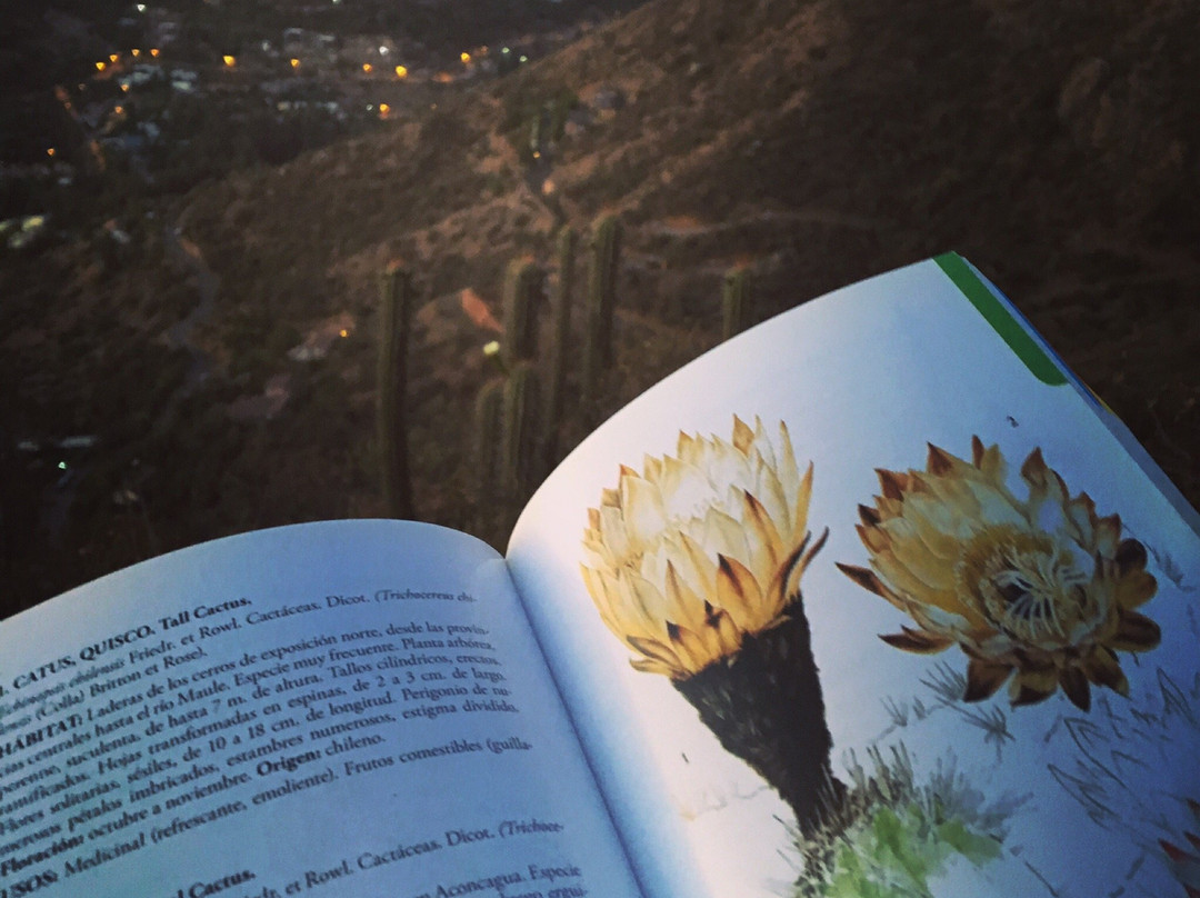 Cerro Pochoco-圣地亚哥必去景点