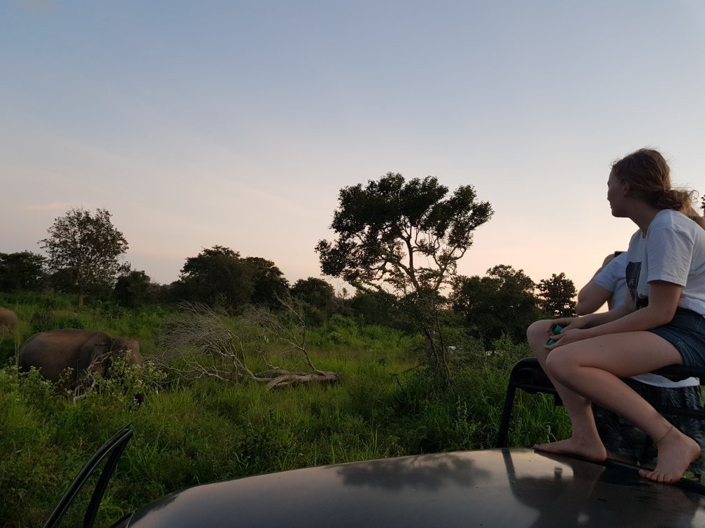 Best safaris- camping/birdwatching/safaris-哈巴拉娜必去景点