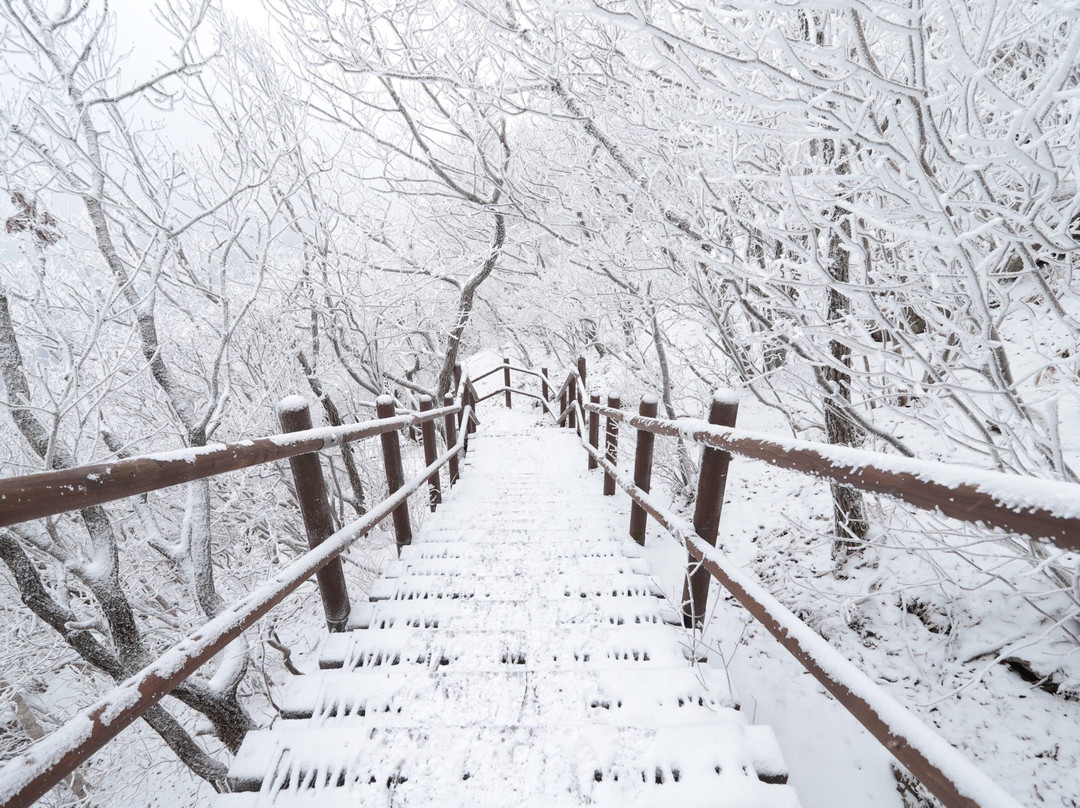 Sobaeksan National Park Samga-荣州市必去景点
