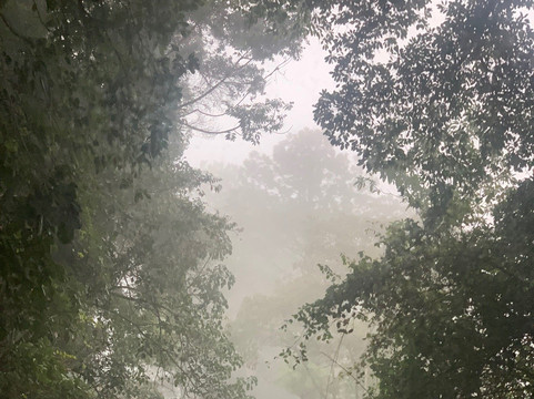 Viajes Itzaa-圣克里斯托瓦尔-德拉斯卡萨斯必去景点