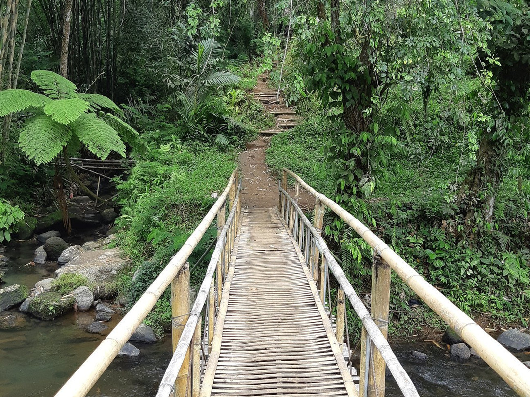 The Bali Trip Mate-登巴萨必去景点