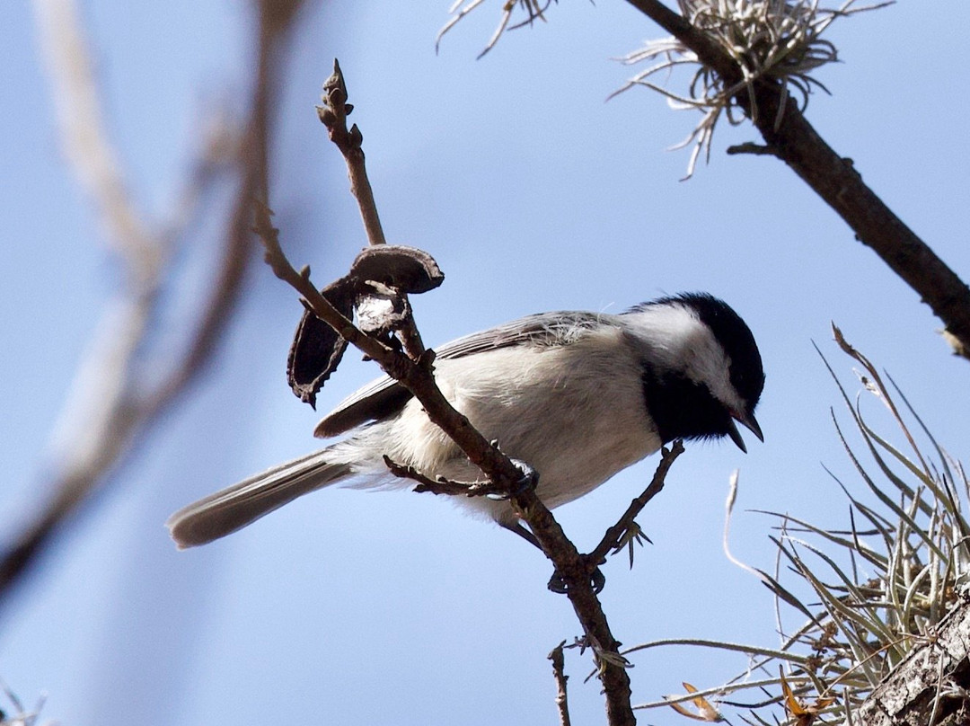 James Kiehl River Bend Park-Comfort必去景点