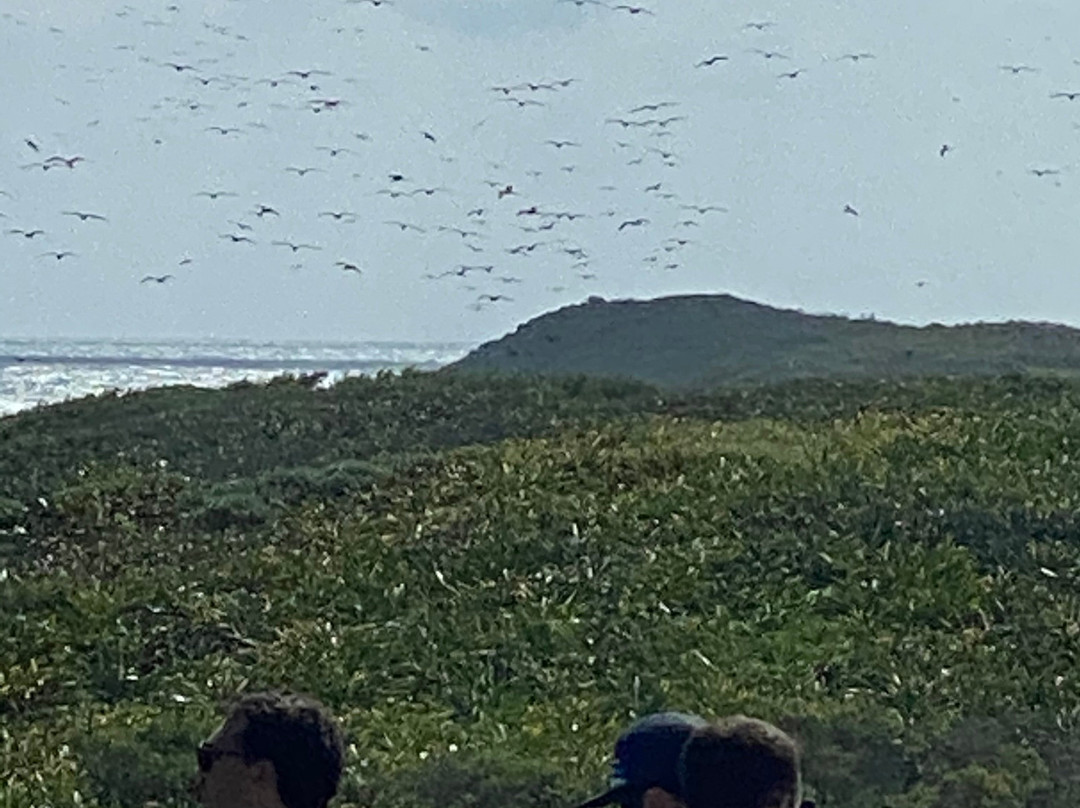 Isla Contoy National Park-Isla Contoy必去景点