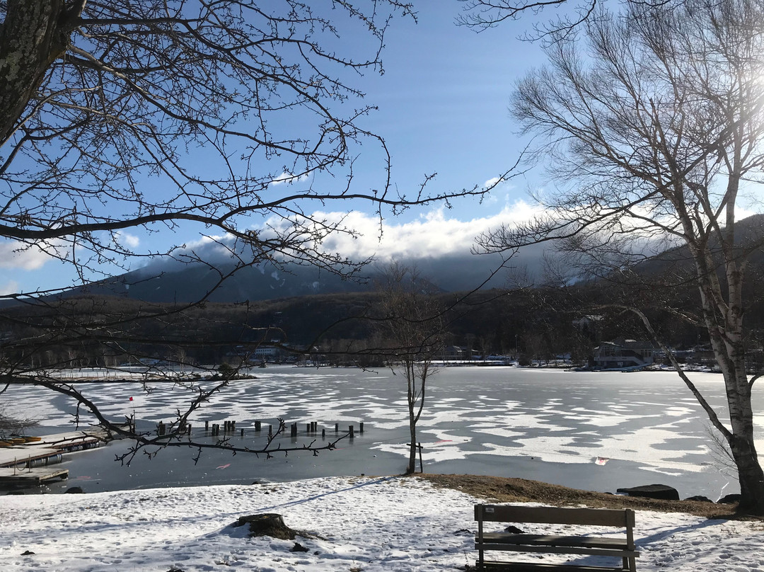 Suwa City Kohan Park景点图片