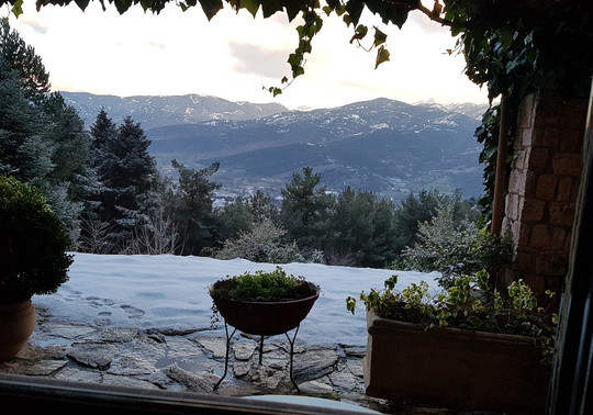 Aphrodite's Inn主图