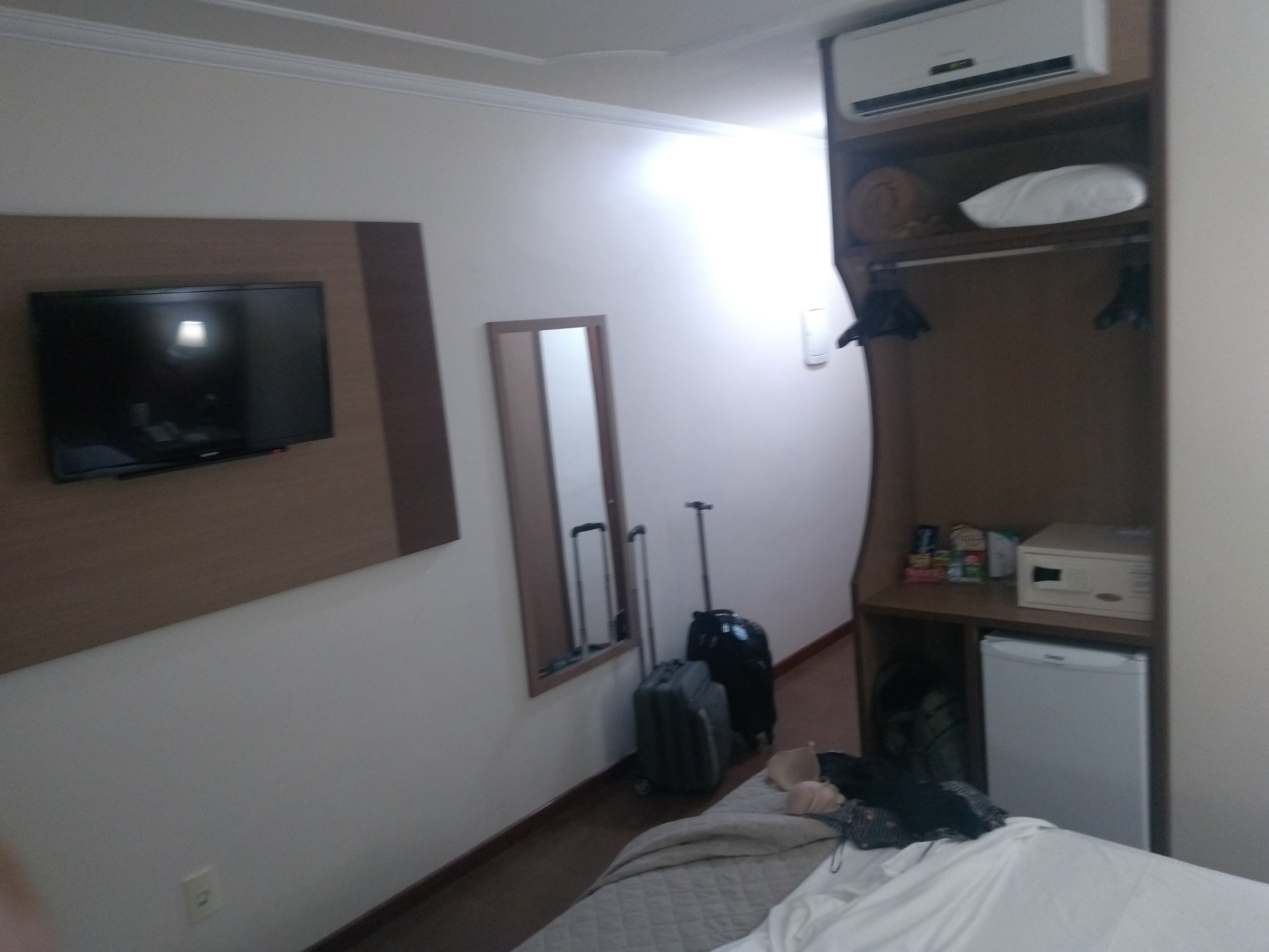Hotel Premium Pirassununga-酒店景观