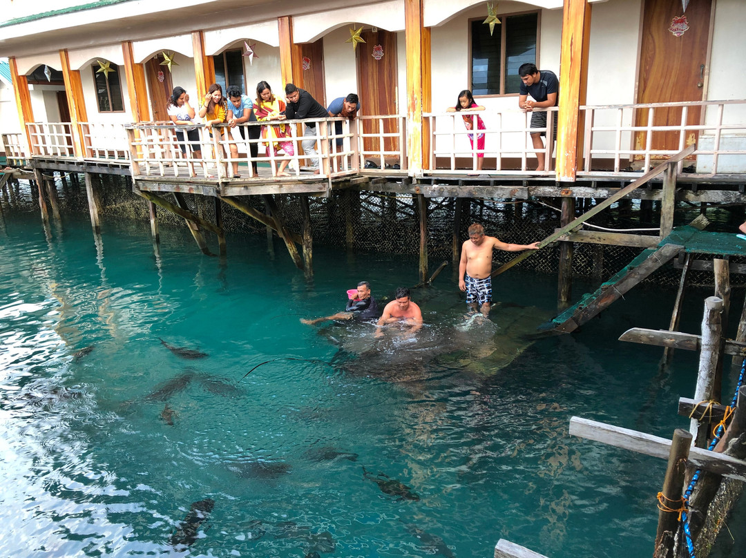 Sibadan Fish Cage主图