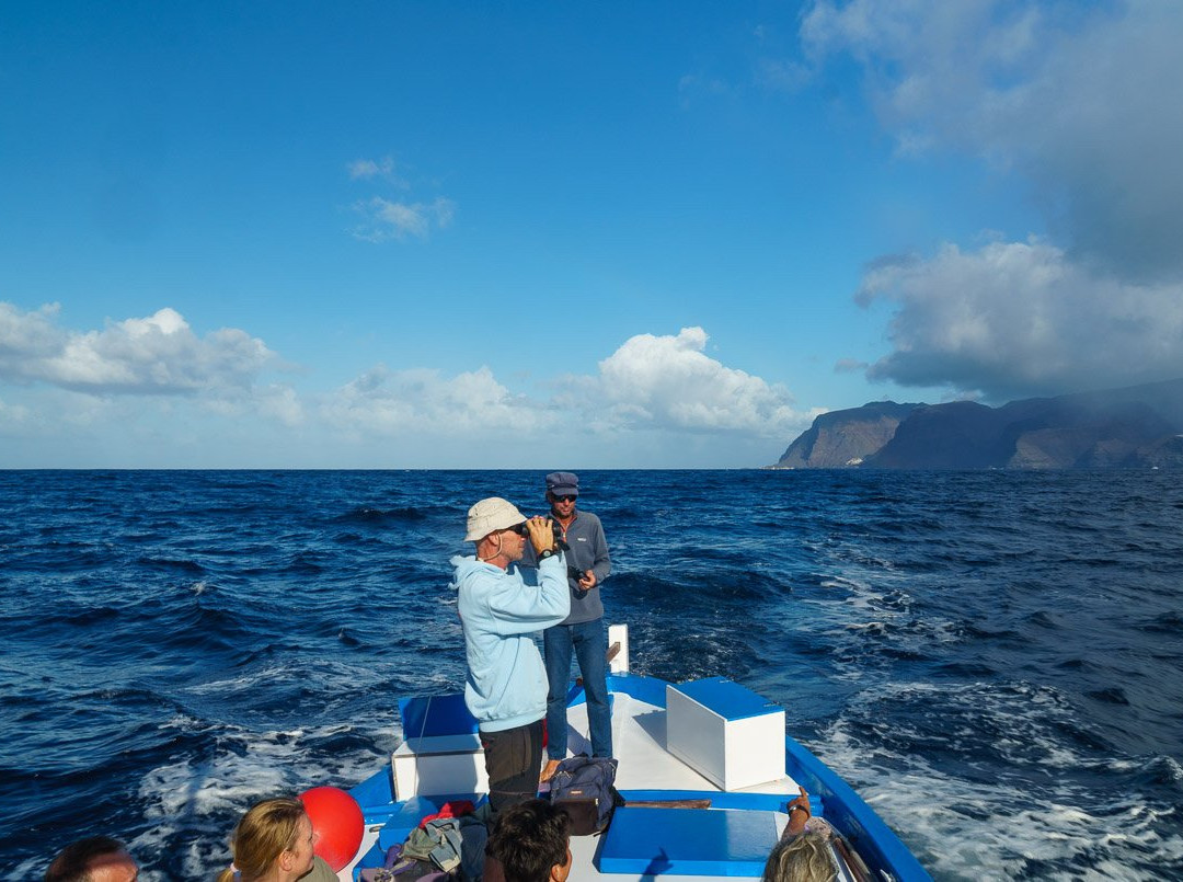 Oceano Whale Watching La Gomera景点图片