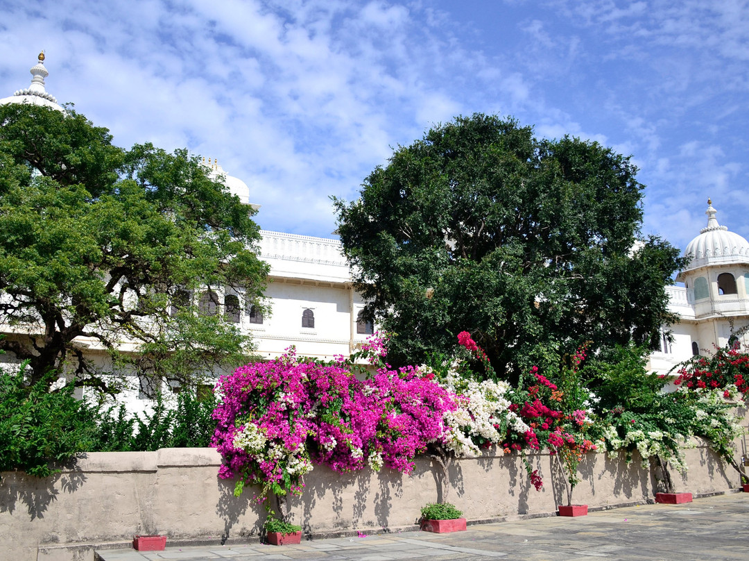 Fateh Praksah Palace Museum景点图片