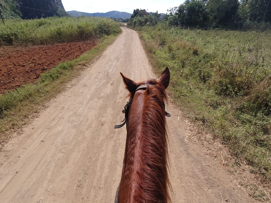 Horse Ride Viñales景点图片