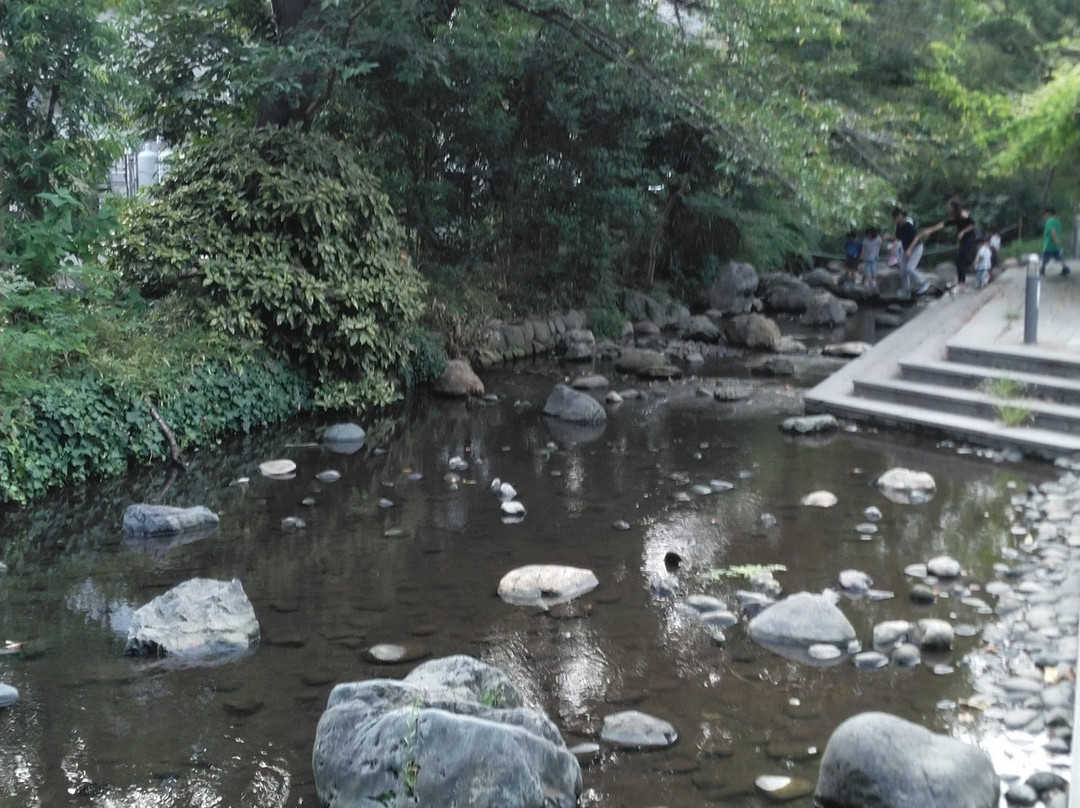 Negawa Ryokudo-立川市必去景点