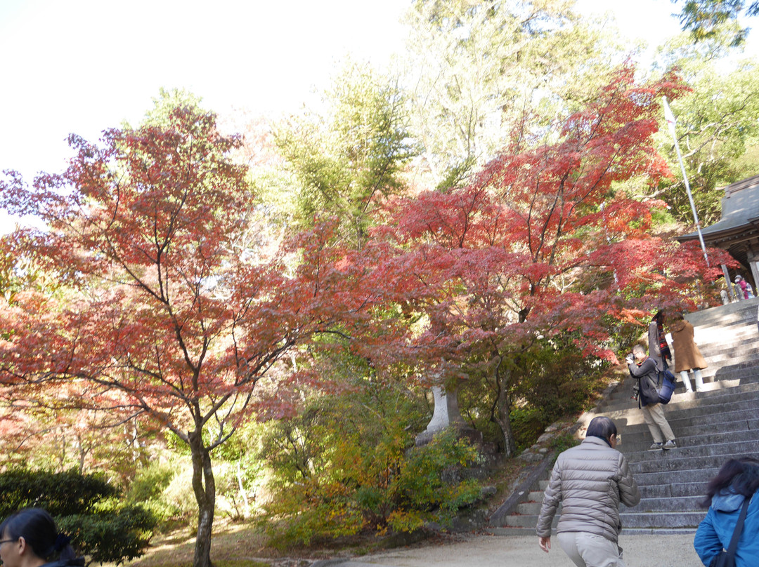 Niiyama Shrine-神埼市必去景点