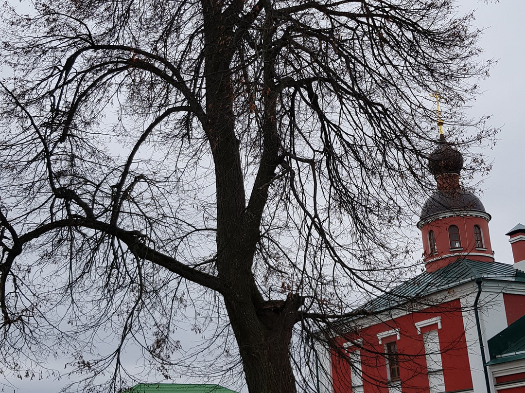 Anastasia Uzoreshitelnitsa's Church景点图片