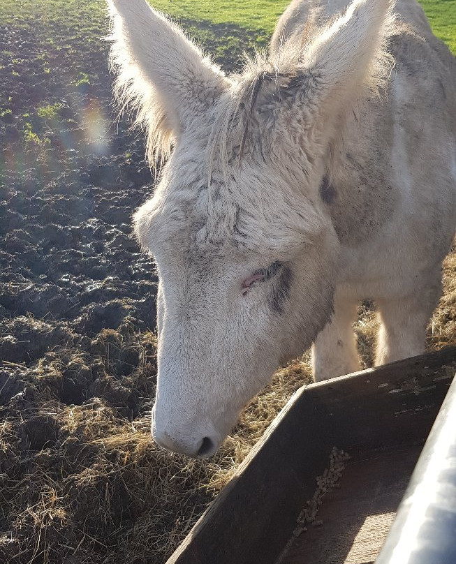 Pot House Hamlet-巴恩斯利必去景点