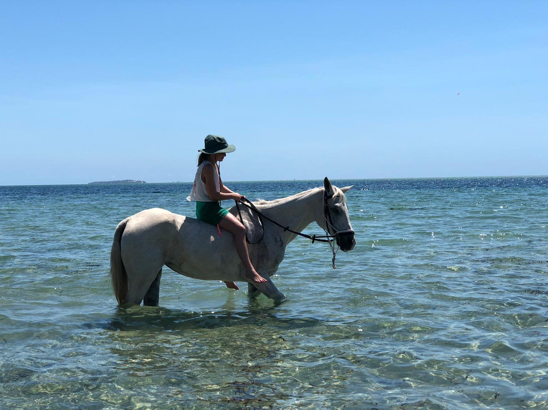 Mozambique Horse Safari景点图片