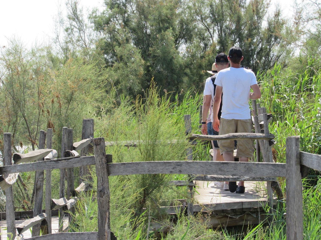 Tourist Office of Vauvert and Petite Camargue-Vauvert必去景点