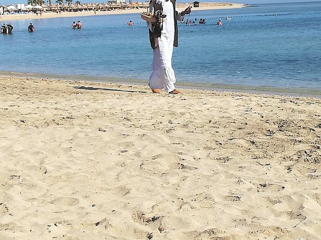 Abu Dabbab Beach-马萨阿拉姆必去景点