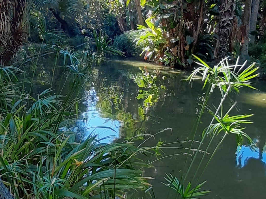 Le Jardin d'Essai du Hamma景点图片