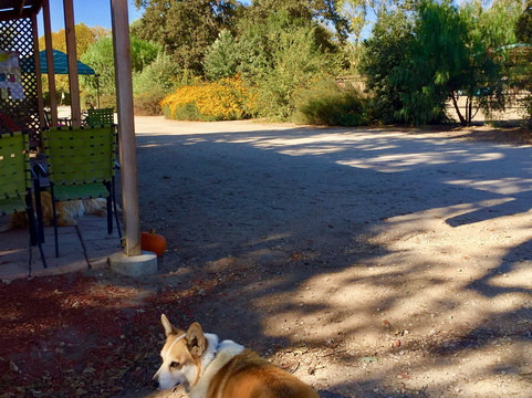 Rancho Olivos-圣伊内斯必去景点