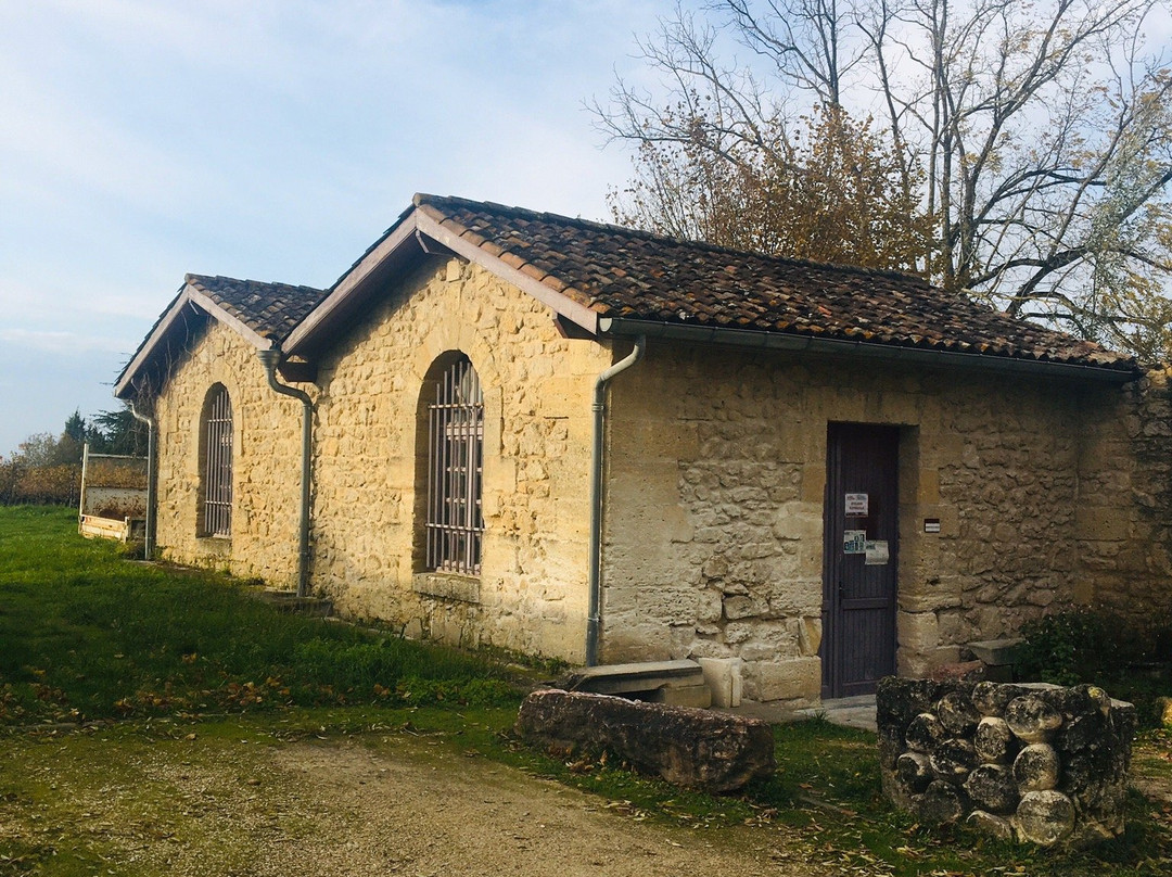 Domaine de Beauval景点图片