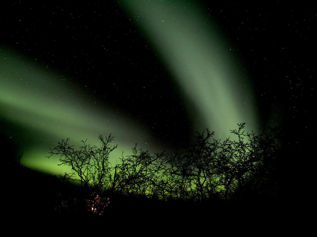 Aurora Kola