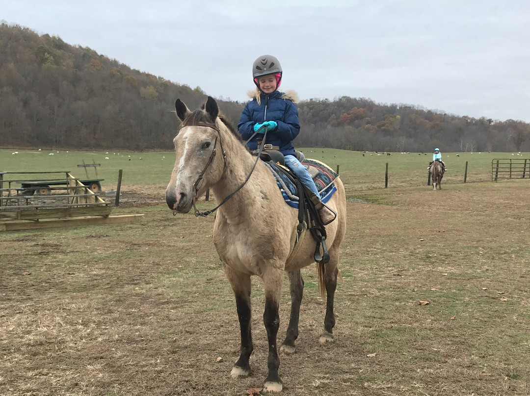 The Spotted Horse Ranch-Laurelville必去景点