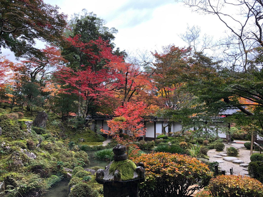 Saimyo-ji Garden Horaitei景点图片